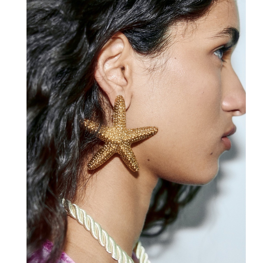 Zara Star Earrings 55$